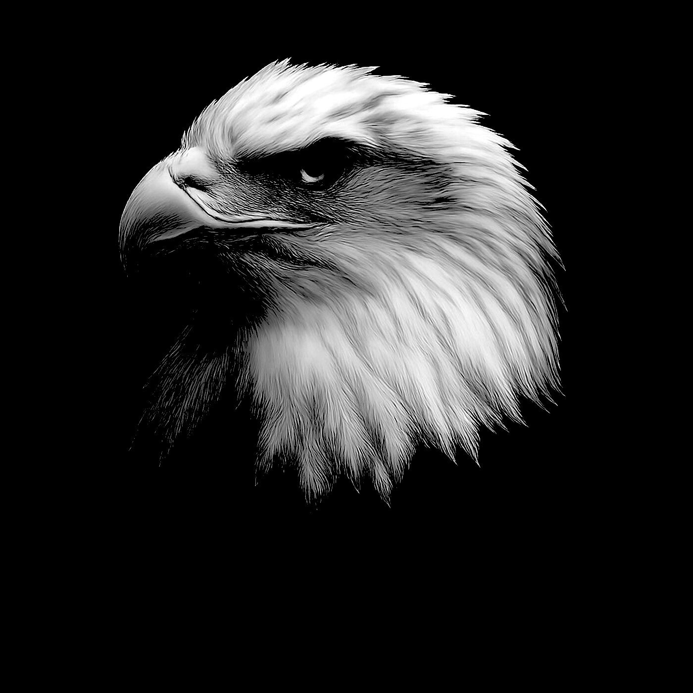 AAFS eagle symbol in black and white